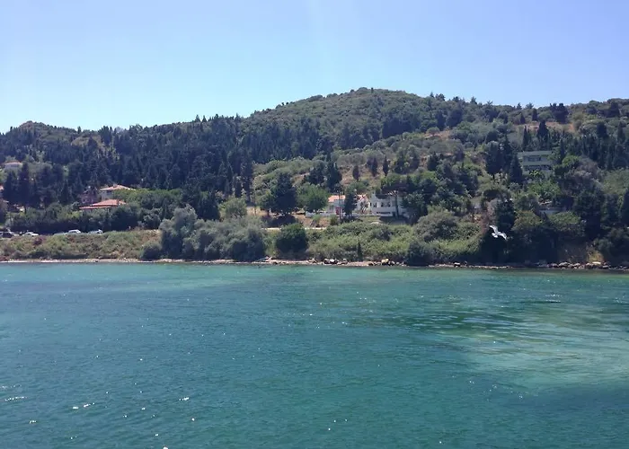 Проживание в семье King Korkmaz