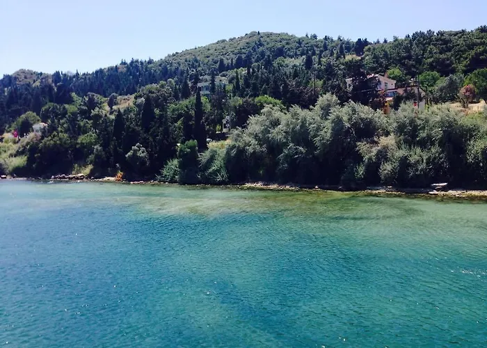 King Korkmaz Эджеабат