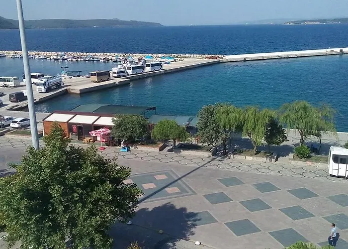 King Korkmaz Эджеабат