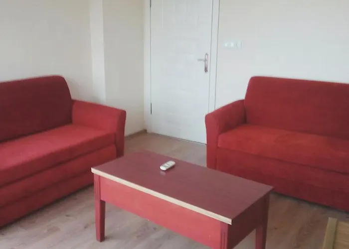 Проживание в семье King Korkmaz