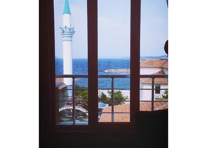 Проживание в семье King Korkmaz