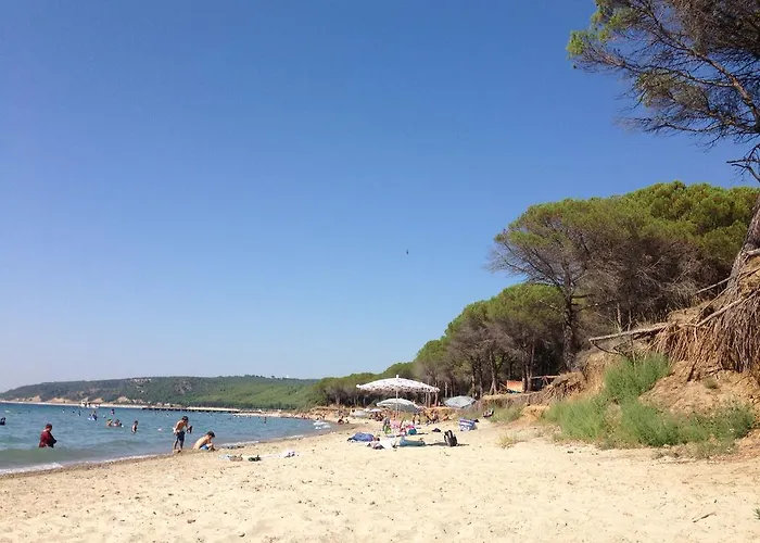 King Korkmaz Проживание в семье Эджеабат