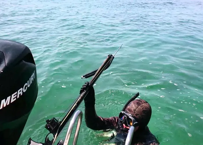 King Korkmaz Проживание в семье