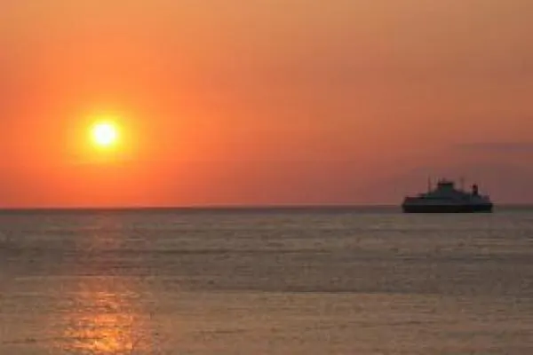 King Korkmaz Проживание в семье