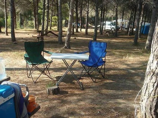 Проживание в семье King Korkmaz Эджеабат