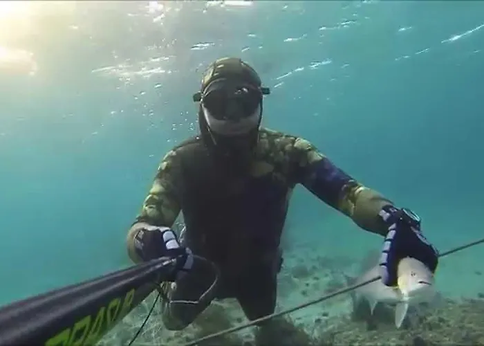 Проживание в семье King Korkmaz Эджеабат