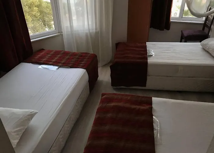 King Korkmaz Проживание в семье