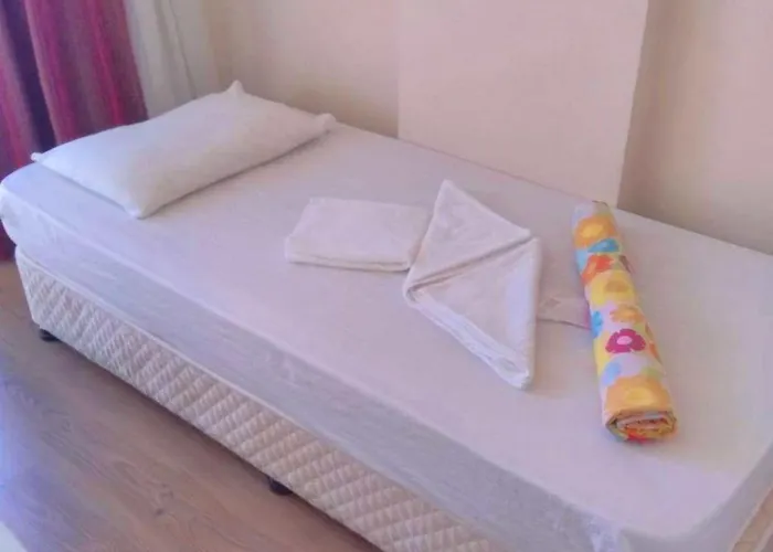 King Korkmaz Проживание в семье *