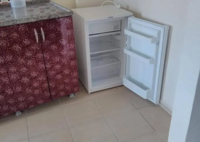 King Korkmaz Проживание в семье Эджеабат