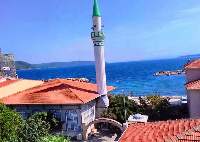 King Korkmaz Эджеабат