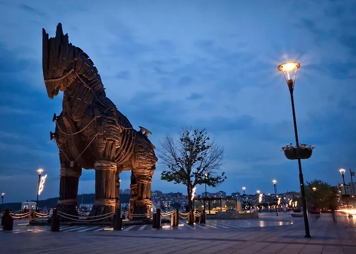 King Korkmaz Проживание в семье *