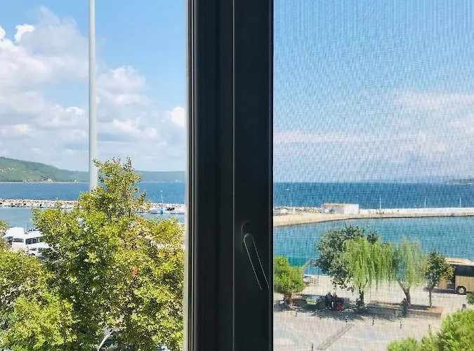 King Korkmaz Проживание в семье *